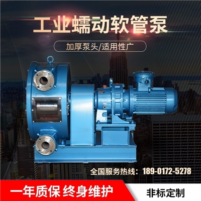 软管泵